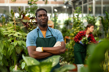 Confident african american hothouse owner engaged in growing of potted ornamental houseplants, posing with crossed arms among greenery of plants