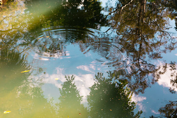 Reflection of the sky and trees in a lake