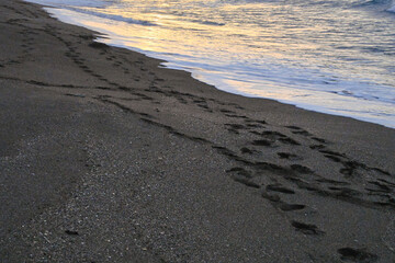 Sea Waves Breaking On A Sandy Beach