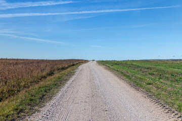 Fototapeta na wymiar A country road without asphalt or gravel