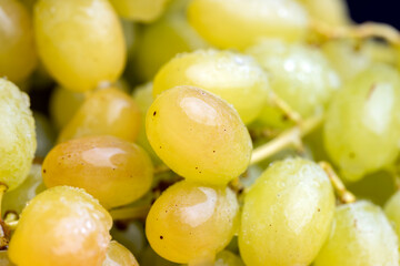 Fresh sweet green grapes, close up