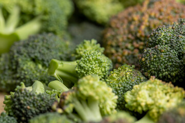 Green ripe broccoli in raw form