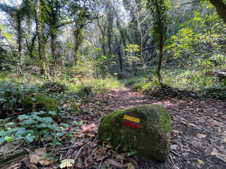 Marked hiking trail around Sintra