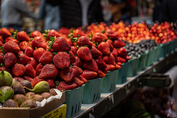 fruits at market