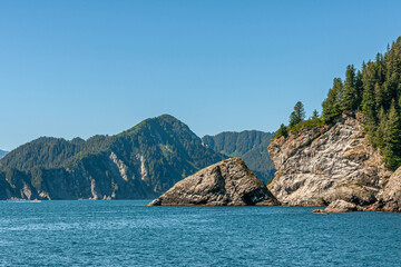 Naklejka premium Resurrection Bay, Alaska, USA - July 22, 2011: Small islet off coastline pretty much covered in white guano only short distance from mainland in blue water. Forested coastline on horizon