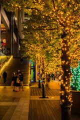 クリスマスの灯り