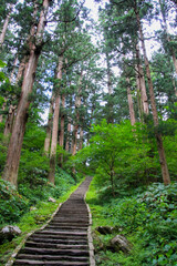 Obraz premium 羽黒山