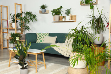 Living room interior with beautiful different potted green plants and furniture. House decor