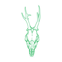 vector illustration of deer head skull