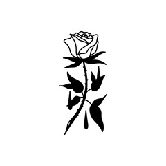 vector illustration of black rose flower
