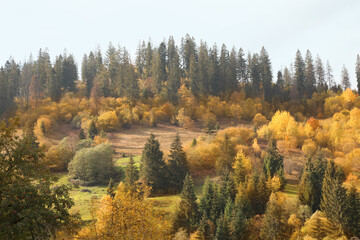 Beautiful view of forest and mountain village on autumn day