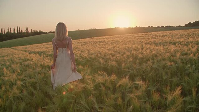 Close-up view of caucasian female walking along wheat crops towards sunset skyline. Blonde-haired woman in romantic mood enjoying peaceful, countryside landscape. High quality 4k footage