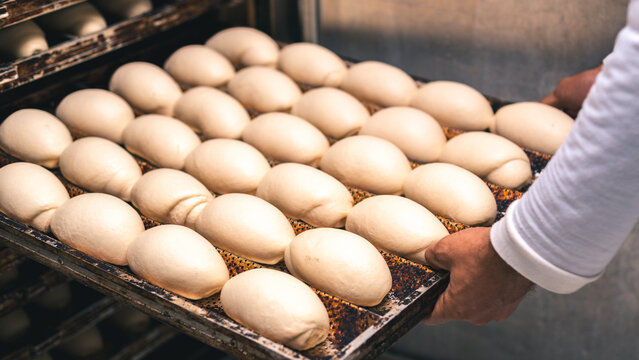 P&atilde;es Entrando no Forno