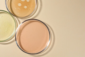 Petri dishes with color liquids on beige background, flat lay. Space for text