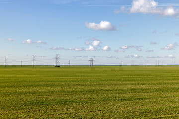 High-voltage poles installed in the field for electric lines