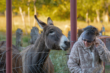Michelle and the affectionate mule - obrazy, fototapety, plakaty