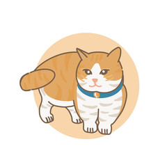 cat with necklace cute yellow