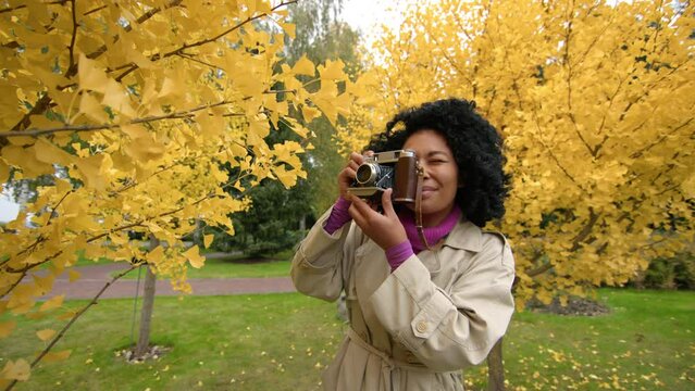 Charming girl with ethnic hairstyle taking pictures of yellow foliage. Close-up shot professional female photographer snapping autumn nature outdoors. High quality 4k footage