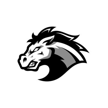 Horse head mascot line art. Stallion cartoon logo design