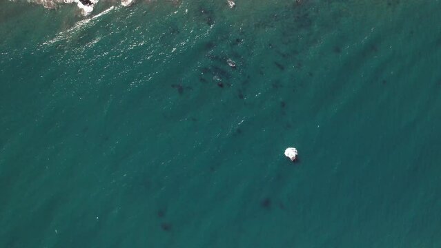 Aerial Over Turquoise Ocean Waters Towards Beach Coastline And Cliff Face At Matanzas, Chile. Birds Eye View