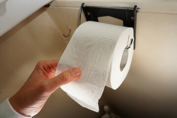 Toilet roll in toilet roll holder for after toilet use. Paper product in the bathroom on a cardboard roll made from trees. - obrazy, fototapety, plakaty