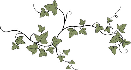 Simplicity ivy freehand drawing