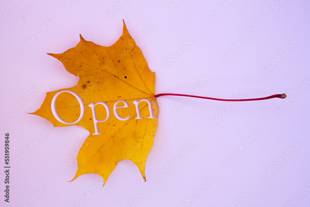 Poster autumn leaves, objects with open text. natural patterns, color design.