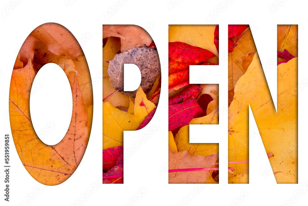 Poster autumn leaves, objects with open text. natural patterns, color design.