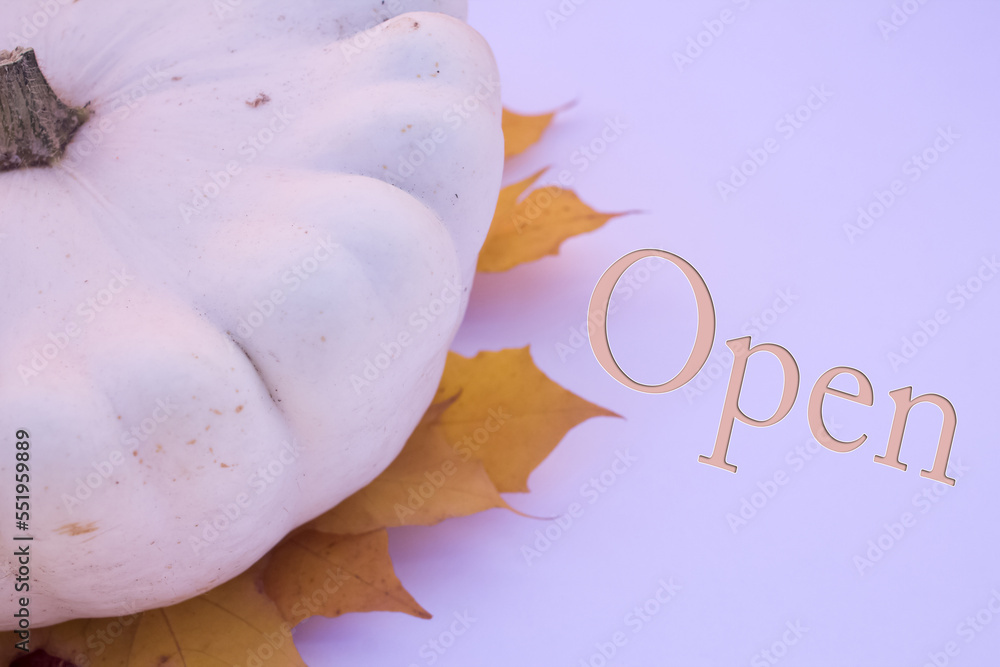 Poster autumn leaves, objects with open text. natural patterns, color design.