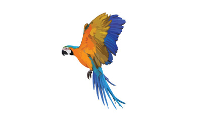 Colorful flying parrot isolated on white. Vector Illustration.