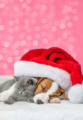 Jack russell terrier hugs kitten. Pets sleep together under big santa's hat on festive background. Empty space for text. Tones of color of year 2023 - Viva Magenta background