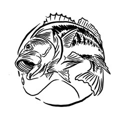 fishing symbol vector logo illustration