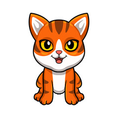 Cute orange tabby cat cartoon