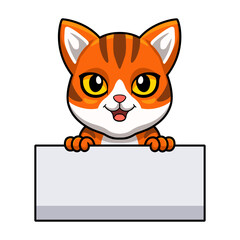 Cute orange tabby cat cartoon holding blank sign