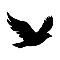 dove with peace sign