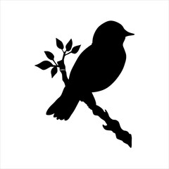 bird on a branch
