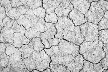 Drought of ground with natural cracked texture white grey background