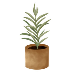 plant in flowerpot. Potted Plant Illustration. House Plants.