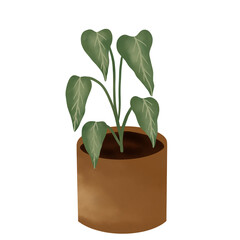 plant in a pot. Potted Plant Illustration.