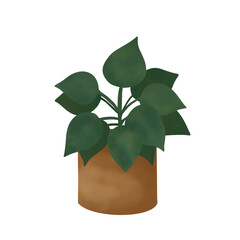 Plant in a pot. Potted Plant Illustration.
