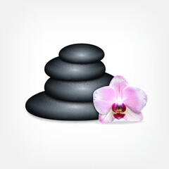 Spa stones with beautiful orchid. EPS10 vector