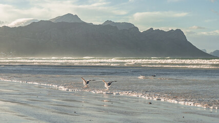 Landscape of mountain range on Strand Beach with two sea gulls enjoying the water