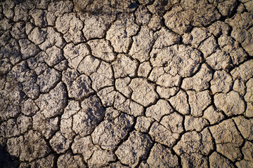dry earth