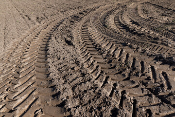 Traces of a tractor or other large machinery on the soil in the field