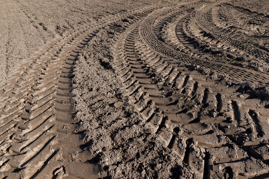 Traces of a tractor or other large machinery on the soil in the field