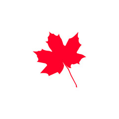 red maple leaf