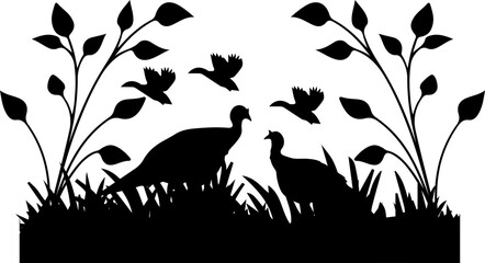  Turkey flower garden