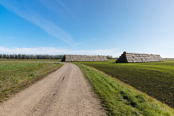 A country road without asphalt or gravel
