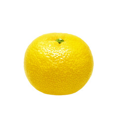 ゆず 柚子 イラスト リアル