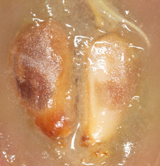 A grain in a cut red grape as a background.